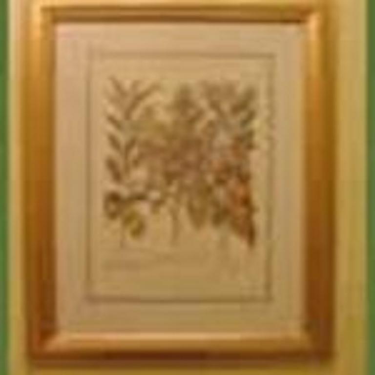 בירמינגהם Cobb Lane Bed And Breakfast מראה חיצוני תמונה